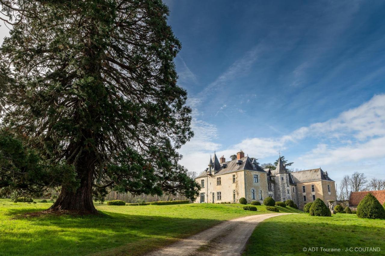 Chateau De Valesne Saché Exterior photo